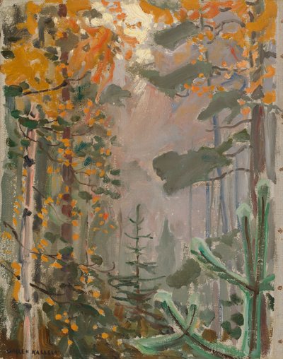  de Akseli Gallen-Kallela