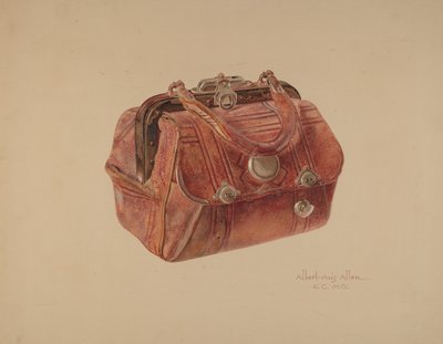 Bolsa de Albert Allen