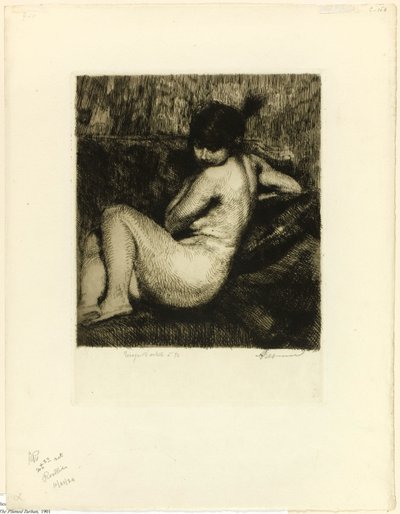 O turbante emplumado de Albert Besnard