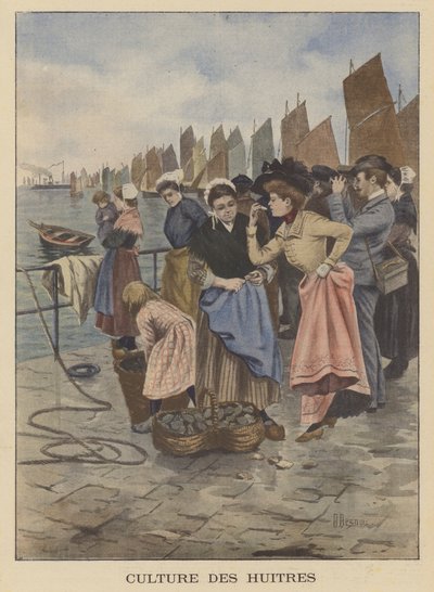 Colheita de ostras em Cancale, na Bretanha de Albert Besnou