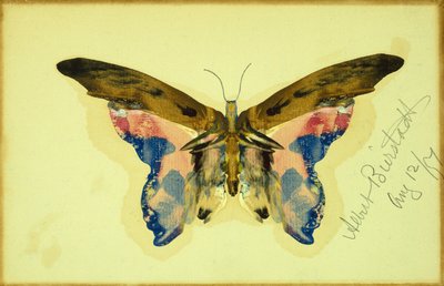 Borboleta (guache sobre papel) de Albert Bierstadt