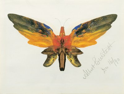 Borboleta, 1890 de Albert Bierstadt