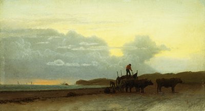 Vista costeira, Newport, 1861 de Albert Bierstadt