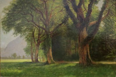 No Vale do Yosemite de Albert Bierstadt