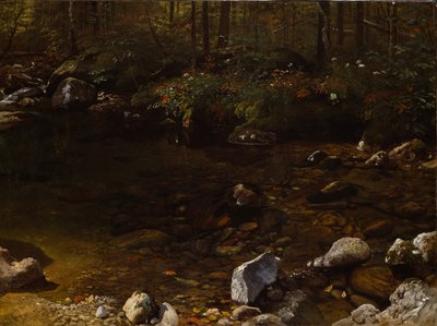 Lagoa sombreada, White Mountains, New Hampshire de Albert Bierstadt