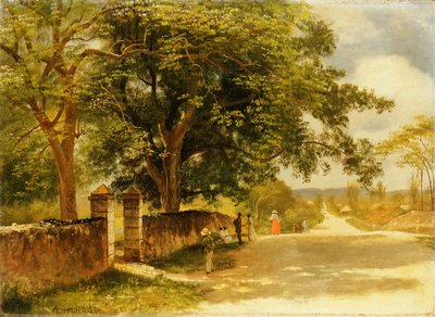 Rua em Nassau, c.1878 de Albert Bierstadt