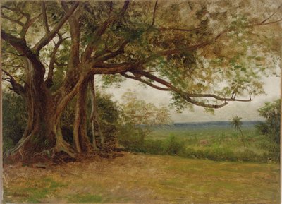 Estudo para "O desembarque de Colombo", 1892 de Albert Bierstadt