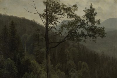 Montanhas cobertas de árvores de Albert Bierstadt