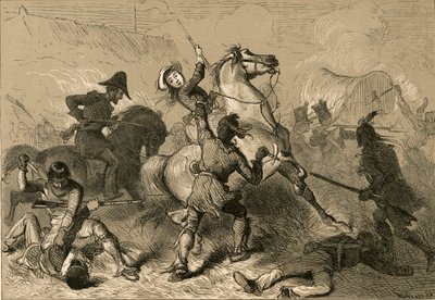 Sra. Heald e os selvagens em Chicago, 1878. de Albert Bobbett