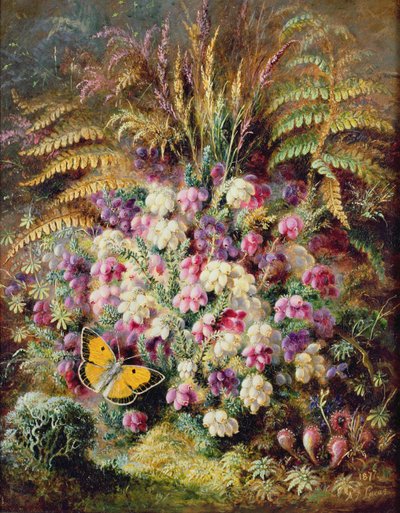 Bell Heather, 1877 de Albert Durer Lucas