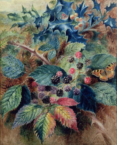 Amoras e azevinho com uma borboleta de Albert Durer Lucas