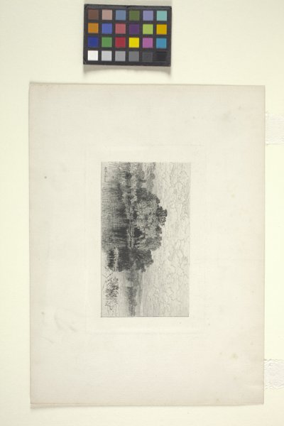 Paisagem com lago (tinta) de Albert Fitch Bellows
