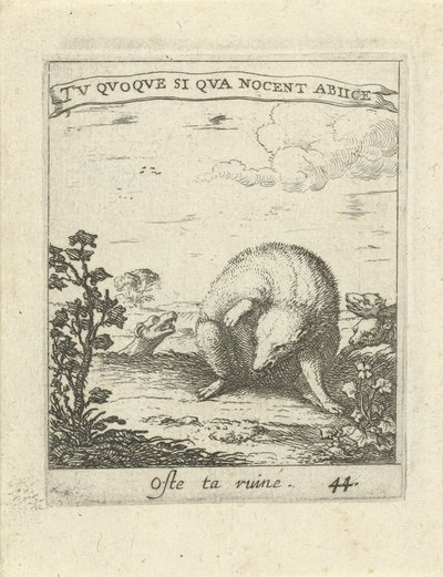 Texugo escapa dos lobos Moralizing Love Emblems (título da série) Devises et emblesmes d