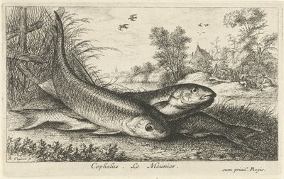 Três gorduchos na margem de um rio
Cephalus. Le Meunier. (título sobre o objecto)
Peixes e outros animais marinhos - primeira série de água doce (título da série)
Diverses Especes de Poissons d