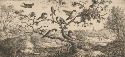Ficedula, Piuoyne The Bullfinch: Livre d