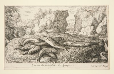 Gabius siue fundulus. Le Goujon de Albert Flamen