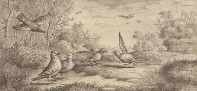 Garrulus, Get The Jay: Livre d