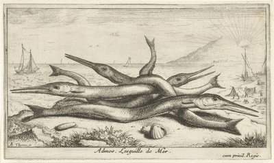 Pegada na praia
Admos. Lesguille de Mer (título sobre o objecto).
Peixes e outros animais marinhos - terceira série de água salgada (título da série)
Poissons de mer (título da série) de Albert Flamen