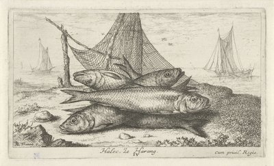 Arenque numa rede de pesca
Halec, Le Harang. (título sobre o objecto)
Peixes e outros animais marinhos - água salgada segunda série (título da série)
Poissons de mer (título da série) de Albert Flamen