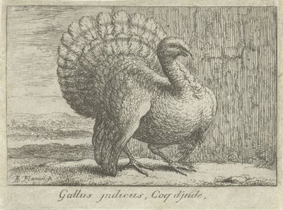 Landschap com Kalkoen Gallus indicus, Coq d