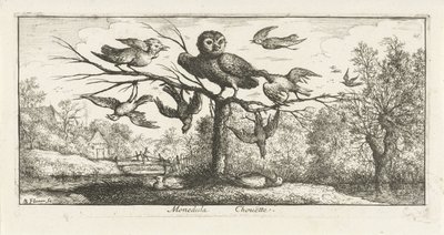 Paisagem com coruja de celeiro entre outras aves Monedula Chouette. (título no objeto) Livro de pássaros (título da série) Livre d