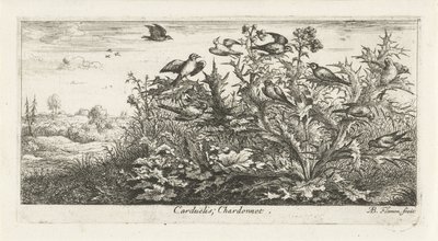 Paisagem com pintassilgo dourado no cardo
Carduëlis; Chardonnet. (título sobre o objecto)
Livro das aves (título da série)
Livre d