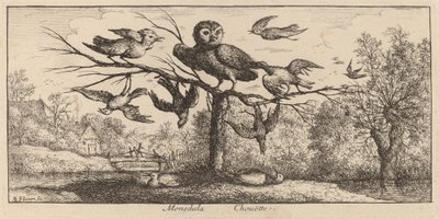 Monedula, a coruja de Albert Flamen
