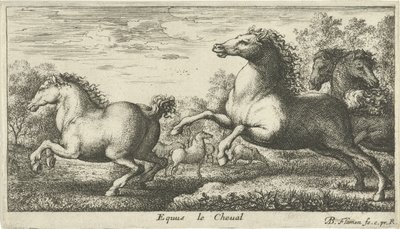 Cavalos Equus le Cheval (título no objeto) Diferentes espécies animais (título da série) de Albert Flamen