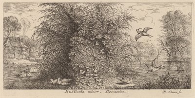 Rusticula menor, O Snipe de Albert Flamen