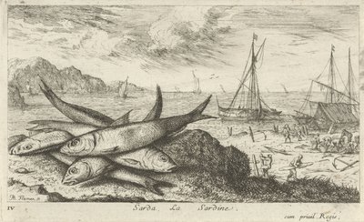 Sardinhas na praia
Sarda, La Sardine (título sobre o objecto)
Peixes e outros animais marinhos - primeira série de água salgada (título da série)
Diverses Especes de Poissons de mer (título da série) de Albert Flamen