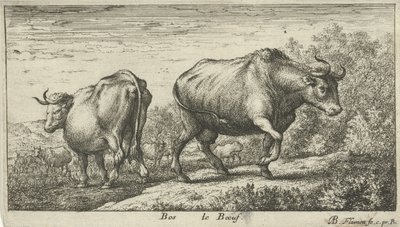 Touros
Bos le Boeuf (título sobre o objecto)
Várias espécies animais (título da série) de Albert Flamen