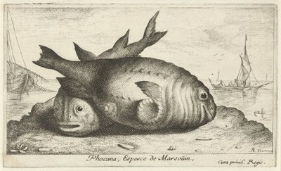 Dois botos na praia Phoca Na, Espèce de Marsoüin, (título no objeto) Peixes e outras criaturas marinhas - terceira série de água salgada (título da série) Poissons de mer (título da série) de Albert Flamen