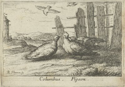 Dois pombos numa vedação
Colombo. Pombo (título sobre o objecto)
Treze espécies de aves (título da série)
Diuersae Auium Specie (título da série) de Albert Flamen
