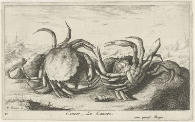Dois caranguejos na praia Câncer, Le Cancre (título no objeto) Peixes e outras criaturas marinhas - primeira série de água salgada (título da série) Diverse Especes de Poissons de mer (título da série) de Albert Flamen