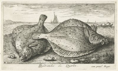 Dois solha na praia Quadratulus. LeQuarlet. (título no objeto) Peixes e outras criaturas marinhas - terceira série de água salgada (título da série) Poissons de mer (título da série) de Albert Flamen