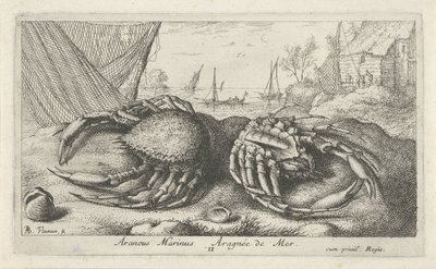 Dois caranguejos-aranha perto de uma rede de pesca Araneus Marinus Aragnée de Mer (título no objeto) Peixes e outras criaturas marinhas - segunda série de água salgada (título da série) Poissons de mer (título da série) de Albert Flamen