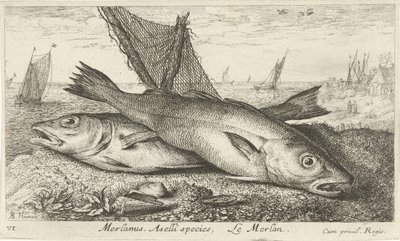 Dois badejos na praia
Merlanus. Espécie Aselli, Le merlan (título sobre o objecto).
Peixes e outros animais marinhos - primeira série de água salgada (título da série)
Diverses Especes de Poissons de mer (título da série) de Albert Flamen