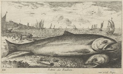 Dois salmões na praia Salmão. Le Saulmon (título no objeto) Peixes e outras criaturas marinhas - primeira série de água salgada (título da série) Diverse Especes de Poissons de mer (título da série) de Albert Flamen