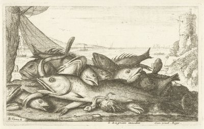 Pesca com caranguejo eremita
Diverses Especes De Poissons tant de Mer, que d