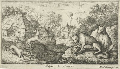 raposas Vulpes le Renard (título no objeto) Diferentes espécies animais (título da série) de Albert Flamen