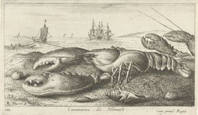 Lagosta na praia Cammarus. LeHomard (título no objeto) Peixes e outras criaturas marinhas - primeira série de água salgada (título da série) Diverse Especes de Poissons de mer (título da série) de Albert Flamen
