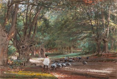 Burnham Beeches (aguarela e cor-de-rosa) de Albert Goodwin