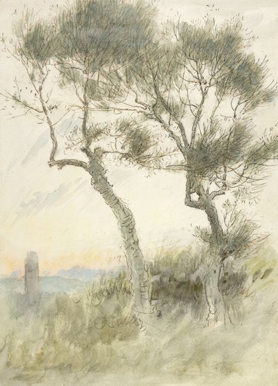 Estudo de Duas Árvores de Albert Goodwin