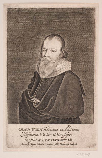Verme Velho de Albert Haelwegh