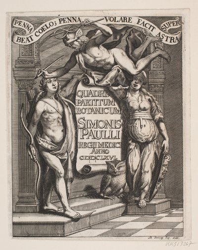 Titelblad til Simon Paulli, "Quadripartitum Botanicum", 1667 de Albert Haelwegh