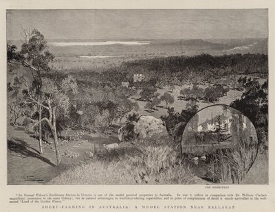 Ovinocultura na Austrália, uma estação modelo perto de Ballarat de Albert Henry Fullwood