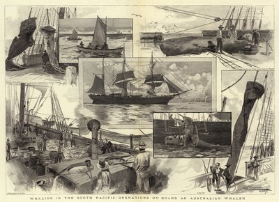 Caça às baleias no Pacífico Sul, operações a bordo de um baleeiro australiano de Albert Henry Fullwood