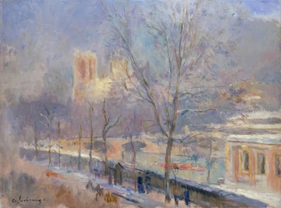 Notre-Dame de Paris vista do quai de la Tournelle, efeito de n de Albert Lebourg