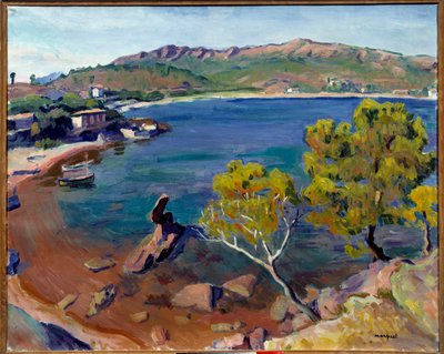 Landscape du Midi, século XX (óleo sobre tela) de Albert Marquet
