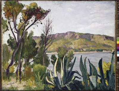Paisagem com agave. (óleo sobre tela de Albert Marquet